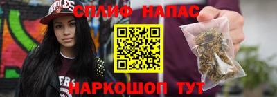 гашик Краснознаменск