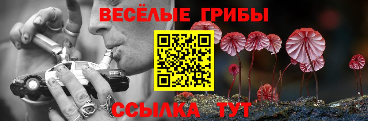 Коломна  Галлюциногенные грибы мухоморы  Вход с VPN  Галлюциногенные грибы ЛСД 